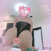 ヒメ日記 2025/06/23 07:01 投稿 ミント 桃李（とうり）