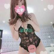 ヒメ日記 2025/06/28 06:44 投稿 ミント 桃李（とうり）