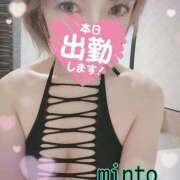 ヒメ日記 2025/07/03 08:44 投稿 ミント 桃李（とうり）