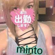 ヒメ日記 2025/07/05 09:54 投稿 ミント 桃李（とうり）