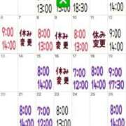 ヒメ日記 2025/07/13 20:14 投稿 ミント 桃李（とうり）