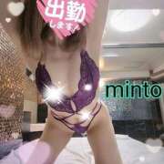 ヒメ日記 2025/07/30 06:54 投稿 ミント 桃李（とうり）