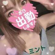 ヒメ日記 2025/08/09 06:54 投稿 ミント 桃李（とうり）