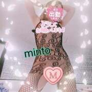 ヒメ日記 2025/08/16 07:24 投稿 ミント 桃李（とうり）