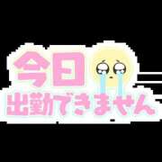 ヒメ日記 2025/08/23 06:20 投稿 ミント 桃李（とうり）