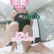 ヒメ日記 2025/08/24 06:46 投稿 ミント 桃李（とうり）