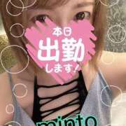 ヒメ日記 2025/08/28 06:54 投稿 ミント 桃李（とうり）