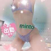 ヒメ日記 2025/09/08 06:54 投稿 ミント 桃李（とうり）