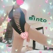 ヒメ日記 2025/09/27 06:56 投稿 ミント 桃李（とうり）