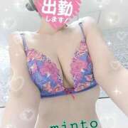 ヒメ日記 2025/10/06 07:54 投稿 ミント 桃李（とうり）