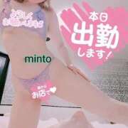 ヒメ日記 2025/10/14 10:55 投稿 ミント 桃李（とうり）