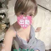 ヒメ日記 2025/10/29 19:44 投稿 ミント 桃李（とうり）