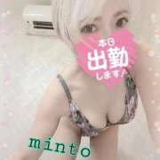 ヒメ日記 2025/11/04 07:44 投稿 ミント 桃李（とうり）