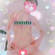 ヒメ日記 2025/11/05 08:00 投稿 ミント 桃李（とうり）