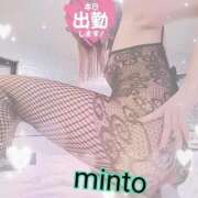 ヒメ日記 2025/11/27 08:24 投稿 ミント 桃李（とうり）