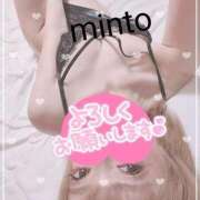 ヒメ日記 2025/12/13 07:54 投稿 ミント 桃李（とうり）