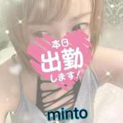 ヒメ日記 2025/12/19 06:54 投稿 ミント 桃李（とうり）