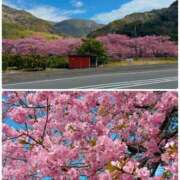ヒメ日記 2025/03/03 00:28 投稿 らん 西川口ちゃんこ