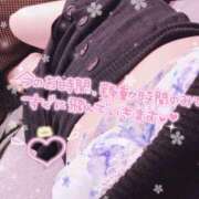 ヒメ日記 2025/03/27 15:29 投稿 らん 西川口ちゃんこ