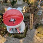 ヒメ日記 2025/11/25 13:32 投稿 麻代（まよ） 即尺即プレイ専門肉欲ぬぷり妻