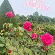 ヒメ日記 2025/06/21 13:17 投稿 らむ 新橋ハートクリニック（シンデレラグループ）