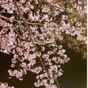 ヒメ日記 2025/04/01 11:49 投稿 ゆな 虹色メロンパイ 横浜店