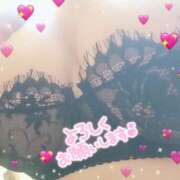 ヒメ日記 2025/10/08 18:45 投稿 ミルク 恋の季節