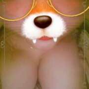 ヒメ日記 2025/10/13 13:30 投稿 ミルク 恋の季節