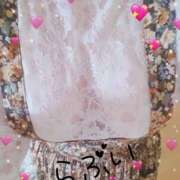 ヒメ日記 2025/10/26 12:35 投稿 ミルク 恋の季節