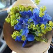 ヒメ日記 2025/11/22 11:55 投稿 ミルク 恋の季節