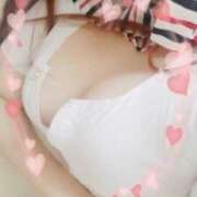 ヒメ日記 2026/02/07 22:09 投稿 ミルク 恋の季節