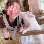 ヒメ日記 2025/04/23 21:24 投稿 緑谷 熟女の風俗最終章 横浜本店