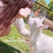 ヒメ日記 2025/06/11 22:12 投稿 緑谷 熟女の風俗最終章 横浜本店