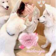 ヒメ日記 2025/08/15 13:44 投稿 緑谷 熟女の風俗最終章 横浜本店