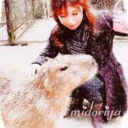 ヒメ日記 2026/02/09 14:24 投稿 緑谷 熟女の風俗最終章 横浜本店