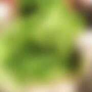 ヒメ日記 2025/08/19 22:24 投稿 真弓-まゆみ MSC 妄想紳士倶楽部 鶯谷店