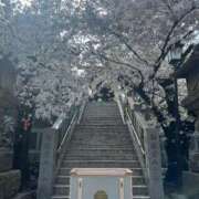 ヒメ日記 2026/04/05 22:34 投稿 真弓-まゆみ MSC 妄想紳士倶楽部 鶯谷店