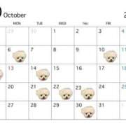 ヒメ日記 2025/09/25 11:19 投稿 かのん 女帝