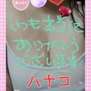 ヒメ日記 2024/12/11 15:33 投稿 砂肝のハナコ C級グル女　鶯谷店