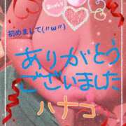 ヒメ日記 2024/12/18 13:00 投稿 砂肝のハナコ C級グル女　鶯谷店