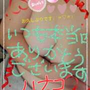 ヒメ日記 2024/12/19 15:21 投稿 砂肝のハナコ C級グル女　鶯谷店