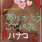 ヒメ日記 2024/12/29 23:54 投稿 砂肝のハナコ C級グル女　鶯谷店