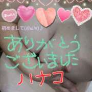 ヒメ日記 2024/12/30 17:26 投稿 砂肝のハナコ C級グル女　鶯谷店