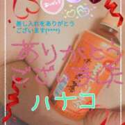 ヒメ日記 2024/12/31 13:32 投稿 砂肝のハナコ C級グル女　鶯谷店