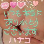 ヒメ日記 2025/01/01 17:24 投稿 砂肝のハナコ C級グル女　鶯谷店