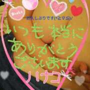 ヒメ日記 2025/01/04 19:28 投稿 砂肝のハナコ C級グル女　鶯谷店