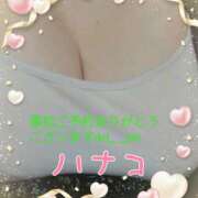 ヒメ日記 2025/01/07 23:09 投稿 砂肝のハナコ C級グル女　鶯谷店