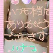 ヒメ日記 2025/01/08 14:50 投稿 砂肝のハナコ C級グル女　鶯谷店