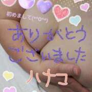 ヒメ日記 2025/02/04 16:58 投稿 砂肝のハナコ C級グル女　鶯谷店