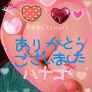 ヒメ日記 2025/02/04 17:13 投稿 砂肝のハナコ C級グル女　鶯谷店